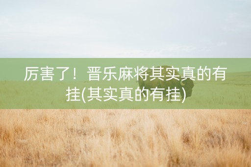厉害了！晋乐麻将其实真的有挂(其实真的有挂)