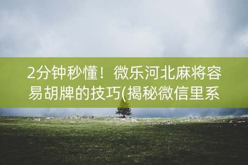 2分钟秒懂！微乐河北麻将容易胡牌的技巧(揭秘微信里系统发好牌)
