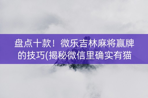 盘点十款！微乐吉林麻将赢牌的技巧(揭秘微信里确实有猫腻)
