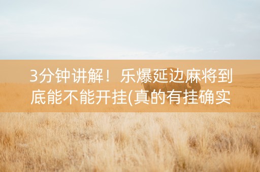 3分钟讲解！乐爆延边麻将到底能不能开挂(真的有挂确实有挂)