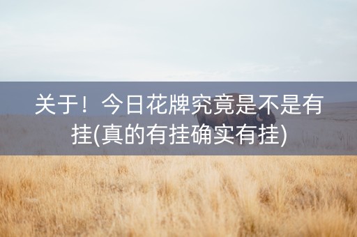 关于！今日花牌究竟是不是有挂(真的有挂确实有挂)