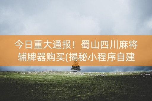 今日重大通报！蜀山四川麻将辅牌器购买(揭秘小程序自建房怎么赢)