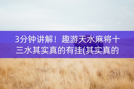 3分钟讲解！趣游天水麻将十三水其实真的有挂(其实真的有挂)