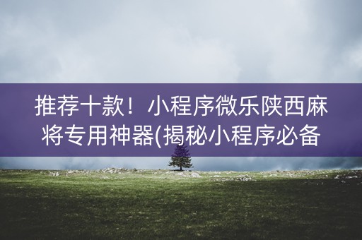 推荐十款！小程序微乐陕西麻将专用神器(揭秘小程序必备神器)