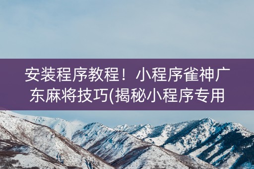 安装程序教程！小程序雀神广东麻将技巧(揭秘小程序专用神器)
