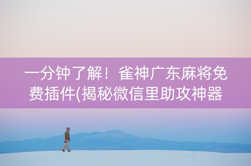 一分钟了解！雀神广东麻将免费插件(揭秘微信里助攻神器)