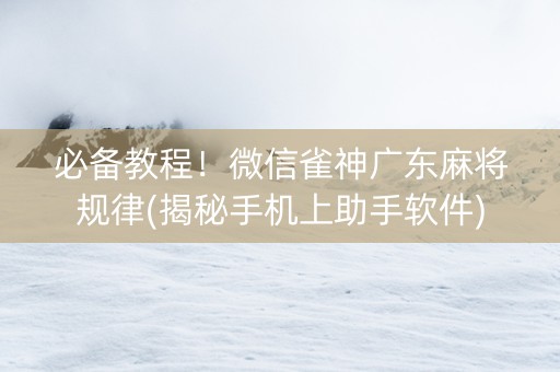 必备教程！微信雀神广东麻将规律(揭秘手机上助手软件)