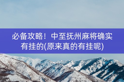 必备攻略！中至抚州麻将确实有挂的(原来真的有挂呢)