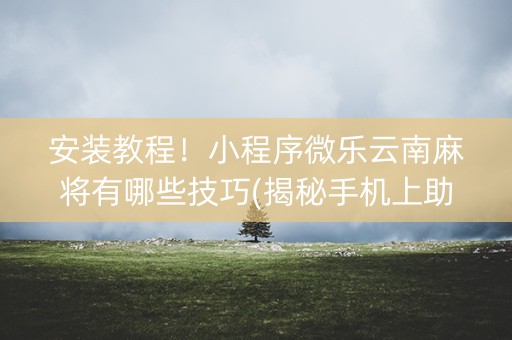 安装教程！小程序微乐云南麻将有哪些技巧(揭秘手机上助攻神器)