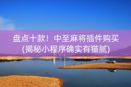 盘点十款！中至麻将插件购买(揭秘小程序确实有猫腻)