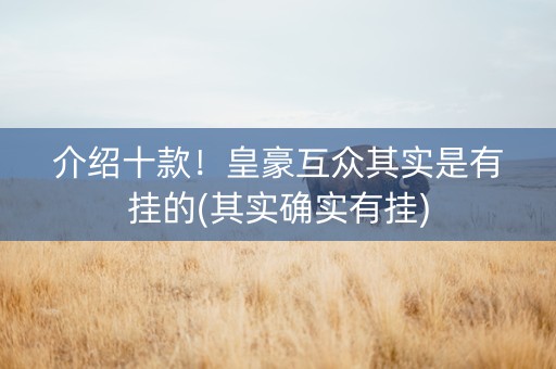 介绍十款！皇豪互众其实是有挂的(其实确实有挂)