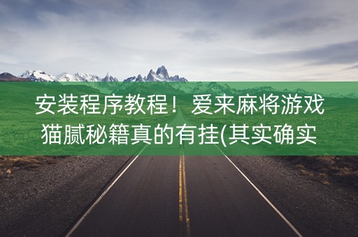 安装程序教程！爱来麻将游戏猫腻秘籍真的有挂(其实确实有挂)