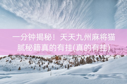一分钟揭秘！天天九州麻将猫腻秘籍真的有挂(真的有挂)