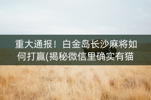 重大通报！白金岛长沙麻将如何打赢(揭秘微信里确实有猫腻)