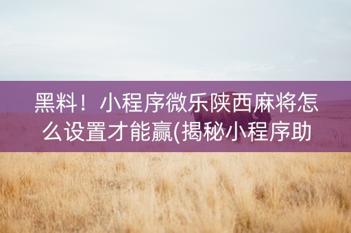 黑料！小程序微乐陕西麻将怎么设置才能赢(揭秘小程序助手软件)