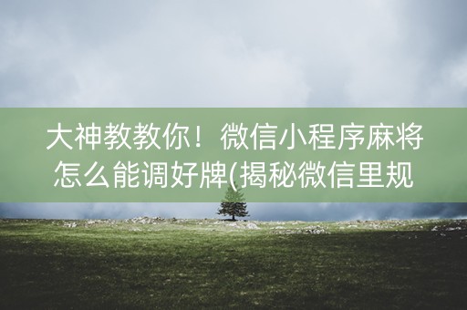 大神教教你！微信小程序麻将怎么能调好牌(揭秘微信里规律攻略)