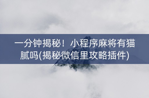 一分钟揭秘！小程序麻将有猫腻吗(揭秘微信里攻略插件)