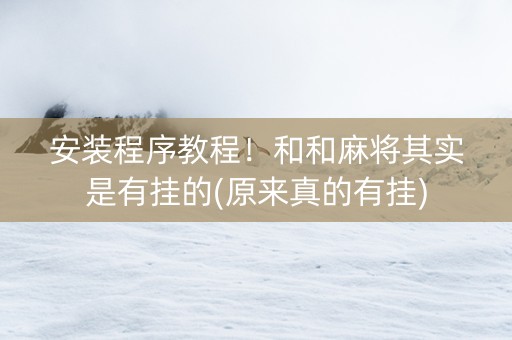 安装程序教程！和和麻将其实是有挂的(原来真的有挂)