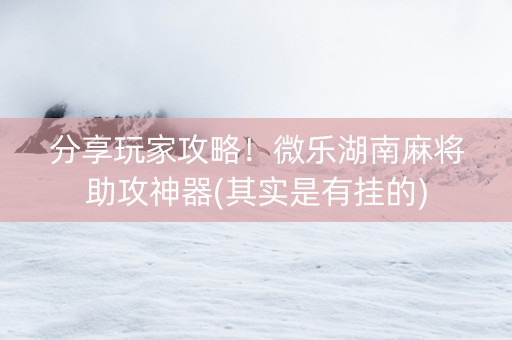 分享玩家攻略！微乐湖南麻将助攻神器(其实是有挂的)