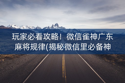 玩家必看攻略！微信雀神广东麻将规律(揭秘微信里必备神器)