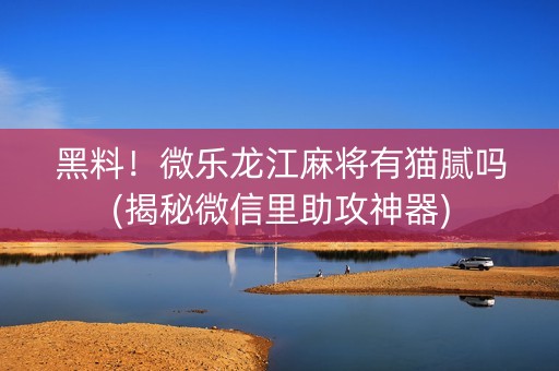 黑料！微乐龙江麻将有猫腻吗(揭秘微信里助攻神器)