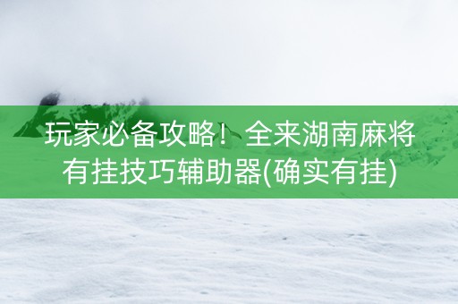 玩家必备攻略！全来湖南麻将有挂技巧辅助器(确实有挂)
