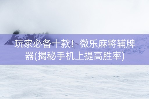玩家必备十款！微乐麻将辅牌器(揭秘手机上提高胜率)
