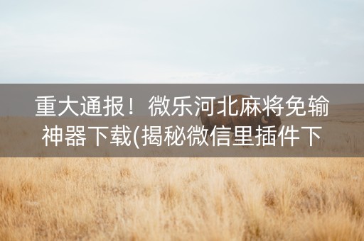 重大通报！微乐河北麻将免输神器下载(揭秘微信里插件下载)
