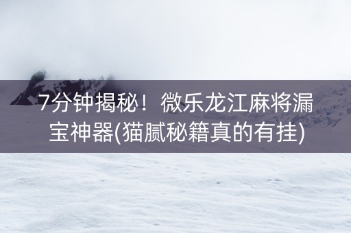 7分钟揭秘！微乐龙江麻将漏宝神器(猫腻秘籍真的有挂)