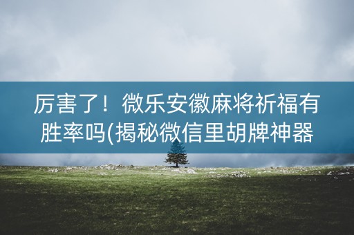 厉害了！微乐安徽麻将祈福有胜率吗(揭秘微信里胡牌神器)