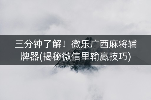 三分钟了解！微乐广西麻将辅牌器(揭秘微信里输赢技巧)