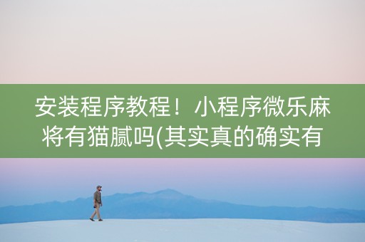 安装程序教程！小程序微乐麻将有猫腻吗(其实真的确实有挂)