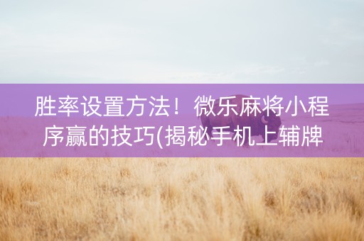 胜率设置方法！微乐麻将小程序赢的技巧(揭秘手机上辅牌器)