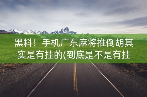 黑料！手机广东麻将推倒胡其实是有挂的(到底是不是有挂)