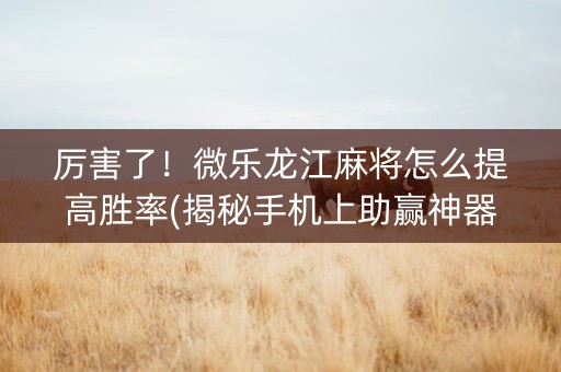 厉害了！微乐龙江麻将怎么提高胜率(揭秘手机上助赢神器购买)