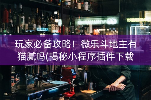 玩家必备攻略！微乐斗地主有猫腻吗(揭秘小程序插件下载)
