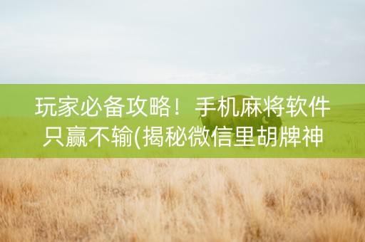 玩家必备攻略！手机麻将软件只赢不输(揭秘微信里胡牌神器)