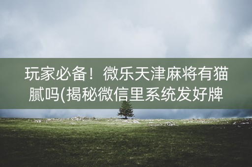 玩家必备！微乐天津麻将有猫腻吗(揭秘微信里系统发好牌)
