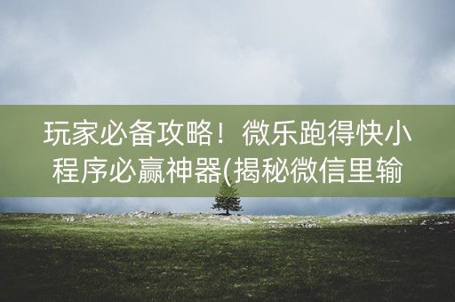 玩家必备攻略！微乐跑得快小程序必赢神器(揭秘微信里输赢规律)