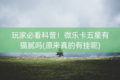 玩家必看科普！微乐卡五星有猫腻吗(原来真的有挂呢)