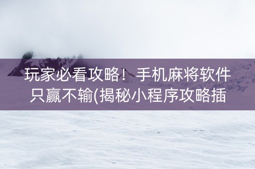 玩家必看攻略！手机麻将软件只赢不输(揭秘小程序攻略插件)