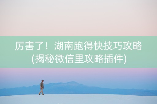 厉害了！湖南跑得快技巧攻略(揭秘微信里攻略插件)