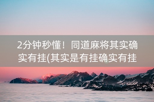 2分钟秒懂！同道麻将其实确实有挂(其实是有挂确实有挂)