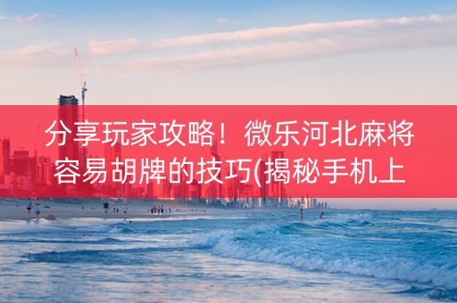 分享玩家攻略！微乐河北麻将容易胡牌的技巧(揭秘手机上攻略插件)