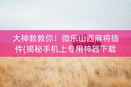 大神教教你！微乐山西麻将插件(揭秘手机上专用神器下载)
