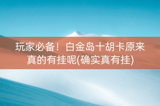 玩家必备！白金岛十胡卡原来真的有挂呢(确实真有挂)