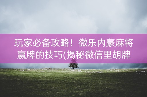 玩家必备攻略！微乐内蒙麻将赢牌的技巧(揭秘微信里胡牌技巧)