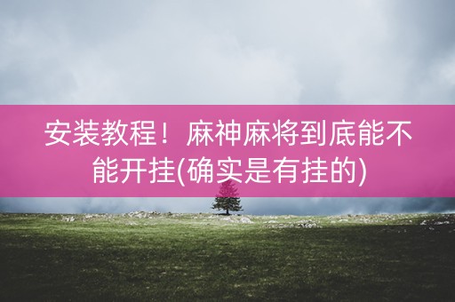 安装教程！麻神麻将到底能不能开挂(确实是有挂的)