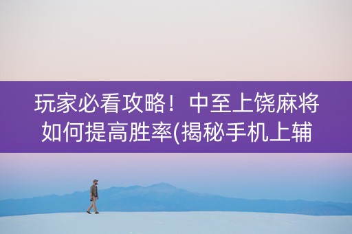 玩家必看攻略！中至上饶麻将如何提高胜率(揭秘手机上辅牌器)
