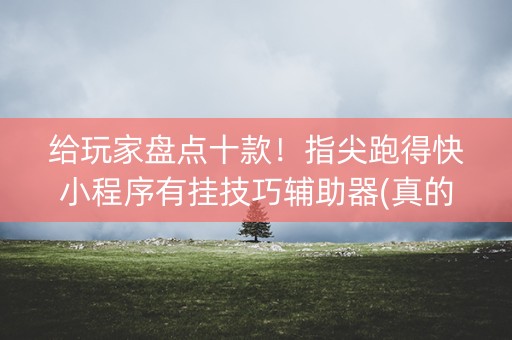 给玩家盘点十款！指尖跑得快小程序有挂技巧辅助器(真的确实是有挂)